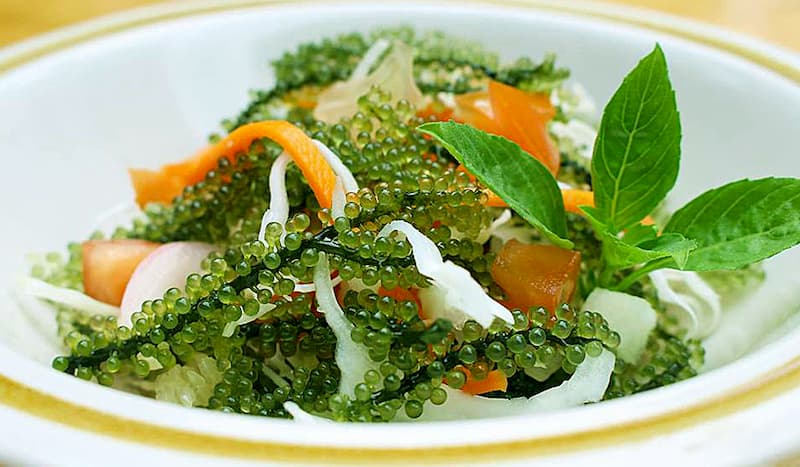 Quy trình đóng gói của nước sốt salad mè Nhật Bản như thế nào?
